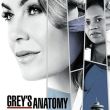 Grey's Anatomy