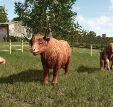 Farming Simulator 25: Highlands Fishing Expansion Farming Simulator 25: Highlands Fishing Expansion