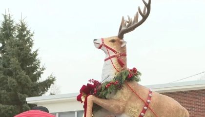 Prancer