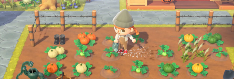 Villager Relationships and Interactions in Animal Crossing: New Horizons